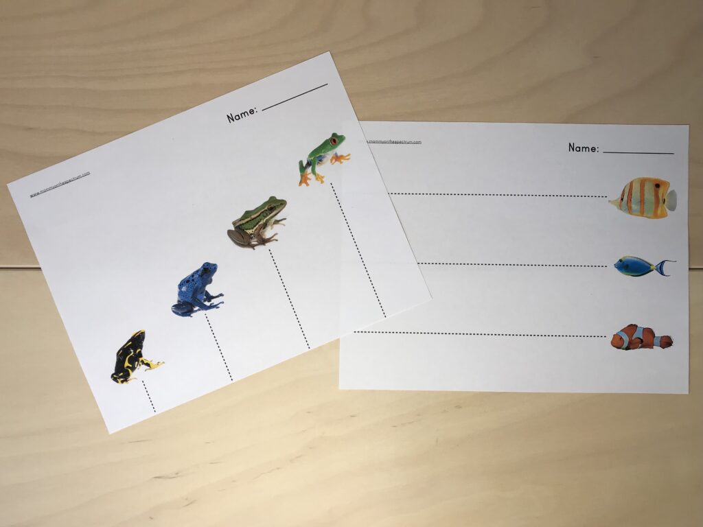 Two pieces of paper with straight lines for cutting